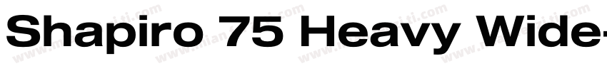 Shapiro 75 Heavy Wide字体转换
